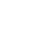 Motif décoratif masquant autour du logo sur le badge depuis 2019